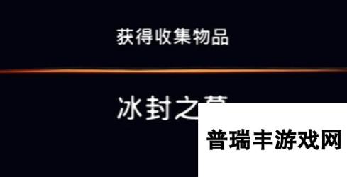 《波斯王子：失落的王冠》收集物品冰封之墓视频攻略